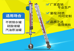 耐腐蝕液位計(jì)